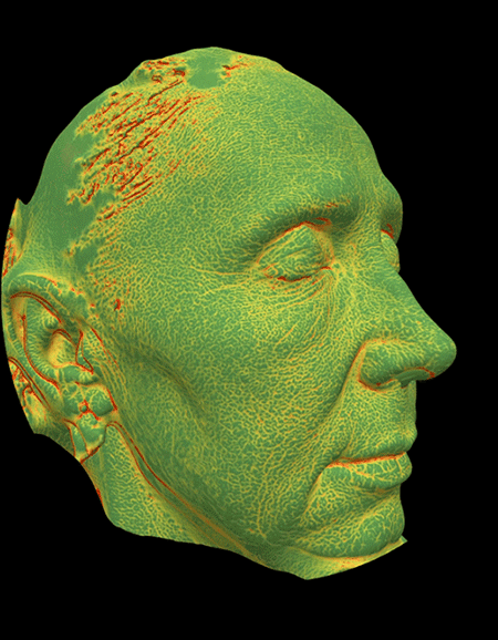 D9专业衰老等级分析